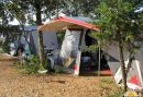 Camping Arboretum