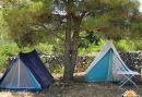 Camping Arboretum