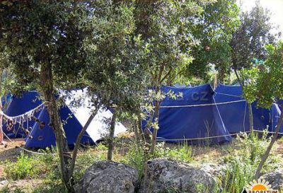 Camping Arboretum