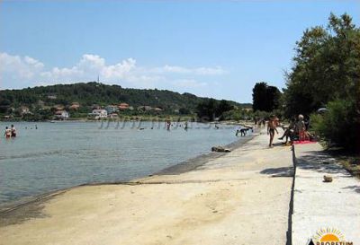 Camping Arboretum