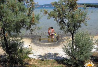 Camping Arboretum