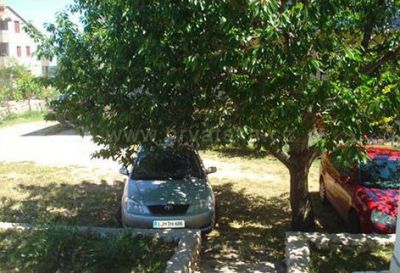 Appartements MAESTRAL