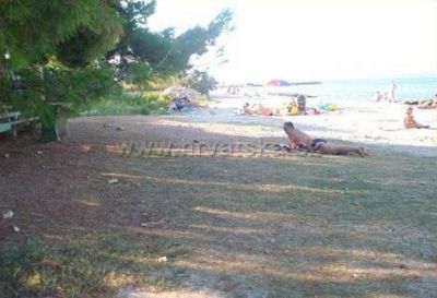 Appartements MAESTRAL