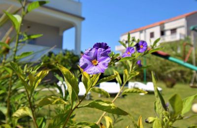 Appartements Frane & Ivanka Gabrić