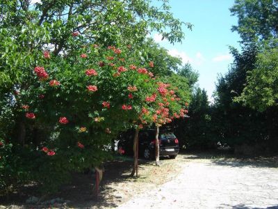 Appartements Grgorinić