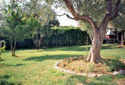 Appartements Lucija