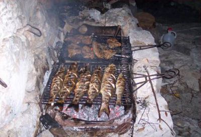 OLIVE GARDEN Appartements