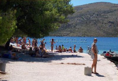 OLIVE GARDEN Appartements