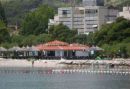 Vesna Adriatica