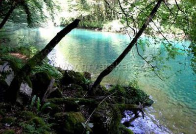 Robinsoncamping VRELA MREŽNICE