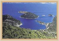 Insel Mljet - Prozura